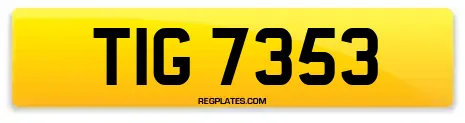 TIG 7353