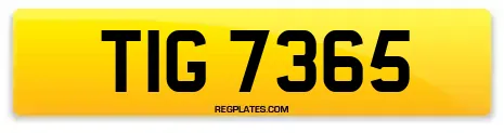 TIG 7365