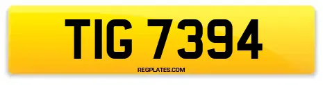 TIG 7394