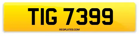 TIG 7399