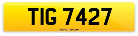 TIG 7427