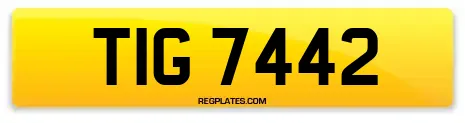 TIG 7442