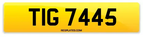 TIG 7445