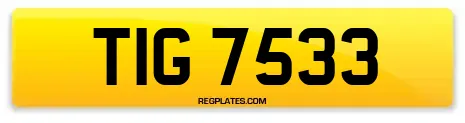 TIG 7533