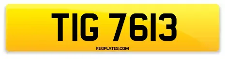 TIG 7613
