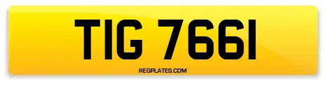 TIG 7661