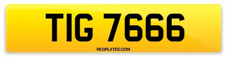 TIG 7666