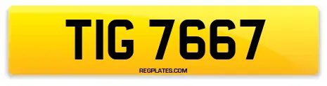 TIG 7667