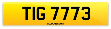 TIG 7773