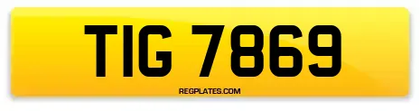 TIG 7869