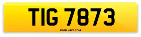 TIG 7873