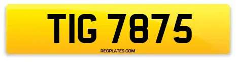 TIG 7875