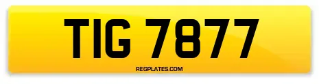 TIG 7877