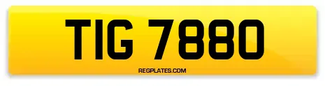 TIG 7880