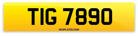 TIG 7890