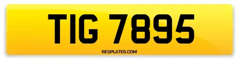TIG 7895