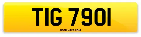 TIG 7901