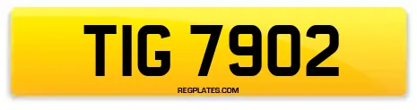 TIG 7902