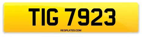 TIG 7923