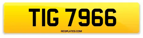 TIG 7966