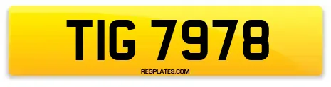TIG 7978