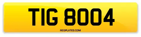 TIG 8004