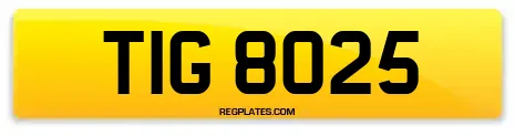 TIG 8025