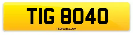 TIG 8040