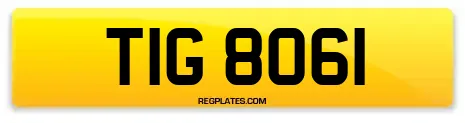 TIG 8061