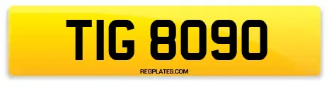 TIG 8090