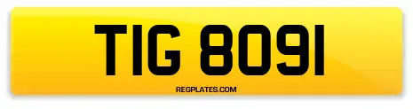 TIG 8091