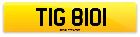 TIG 8101
