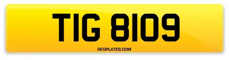 TIG 8109