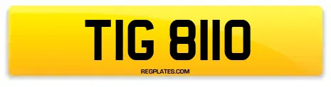 TIG 8110