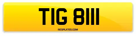 TIG 8111