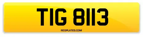 TIG 8113
