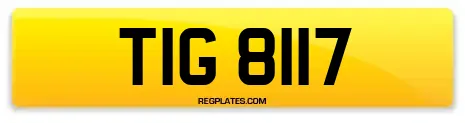 TIG 8117