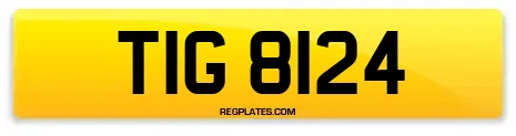 TIG 8124