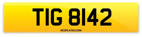 TIG 8142