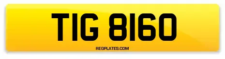 TIG 8160
