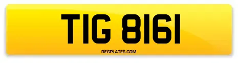 TIG 8161