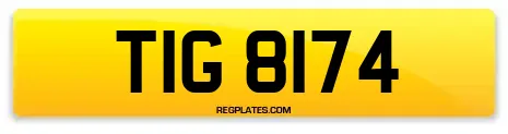 TIG 8174