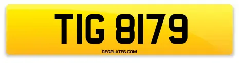 TIG 8179