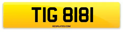 TIG 8181