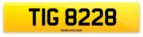 TIG 8228