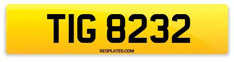 TIG 8232