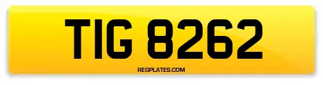TIG 8262
