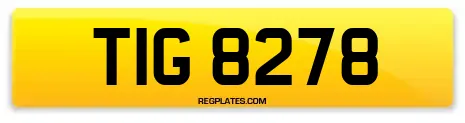 TIG 8278