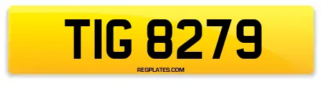 TIG 8279