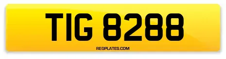 TIG 8288